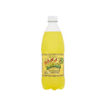 Load image into Gallery viewer, Bigga Pineapple Soft Drink 4oz