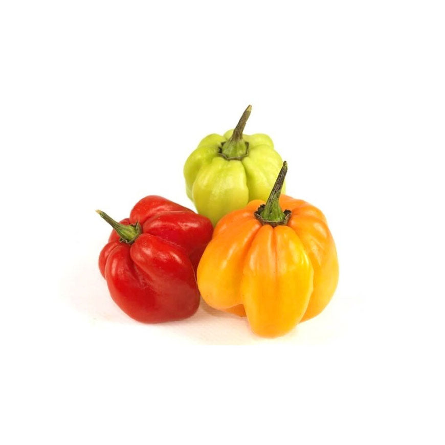 Hot Peppers Scotch Bonnet