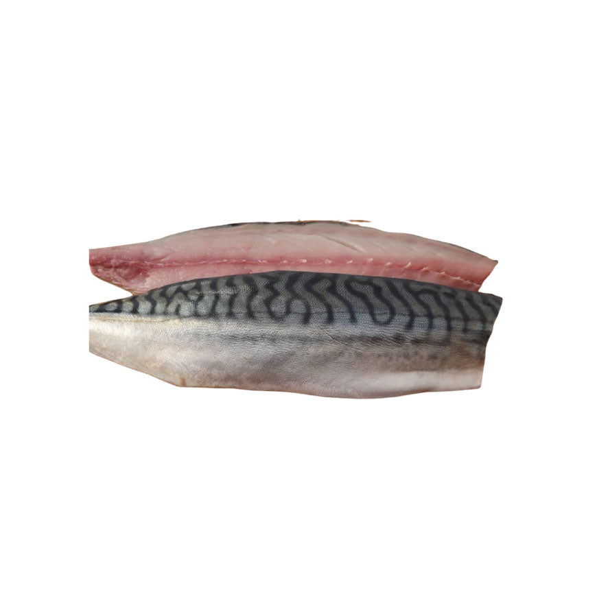 Salt Mackerel