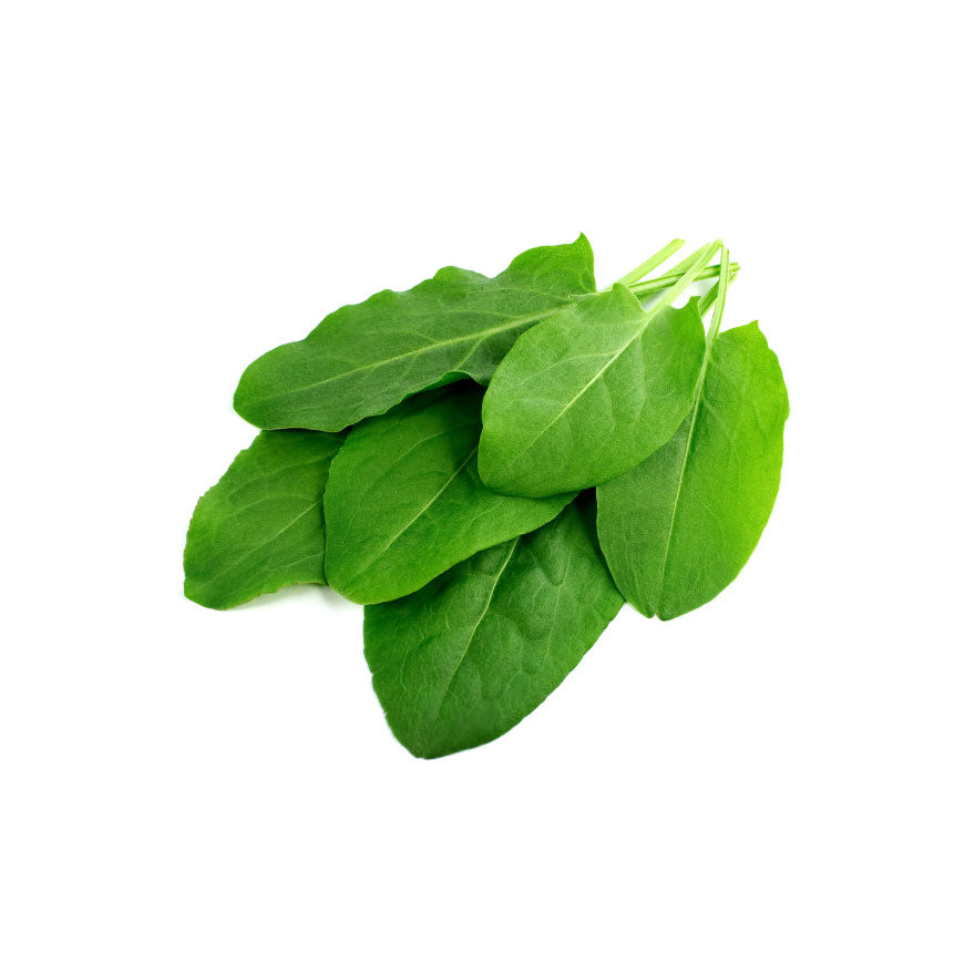 Sorrel Bulk